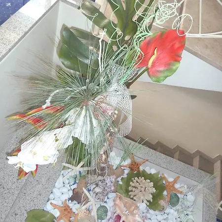 Vienna Bellaria-Igea Marina