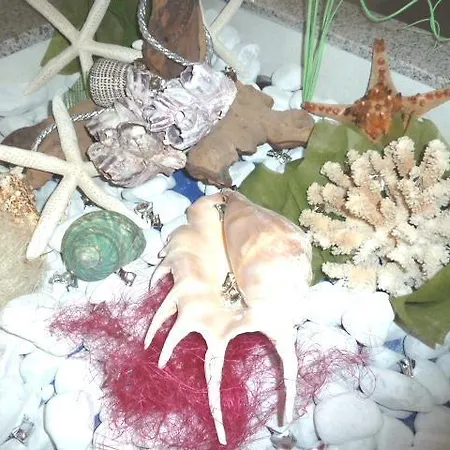 Vienna Bellaria-Igea Marina