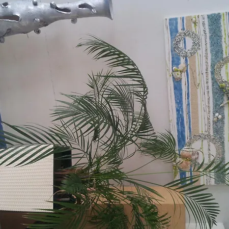 Vienna 호텔 벨레지아아지마리나