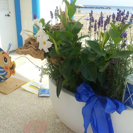 Vienna 3* Беллария-Иджеа-Марина