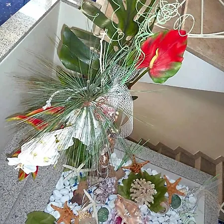 Vienna Hotel Bellaria-Igea Marina