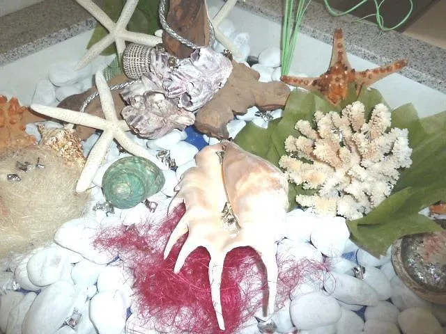 Vienna Беллария-Иджеа-Марина